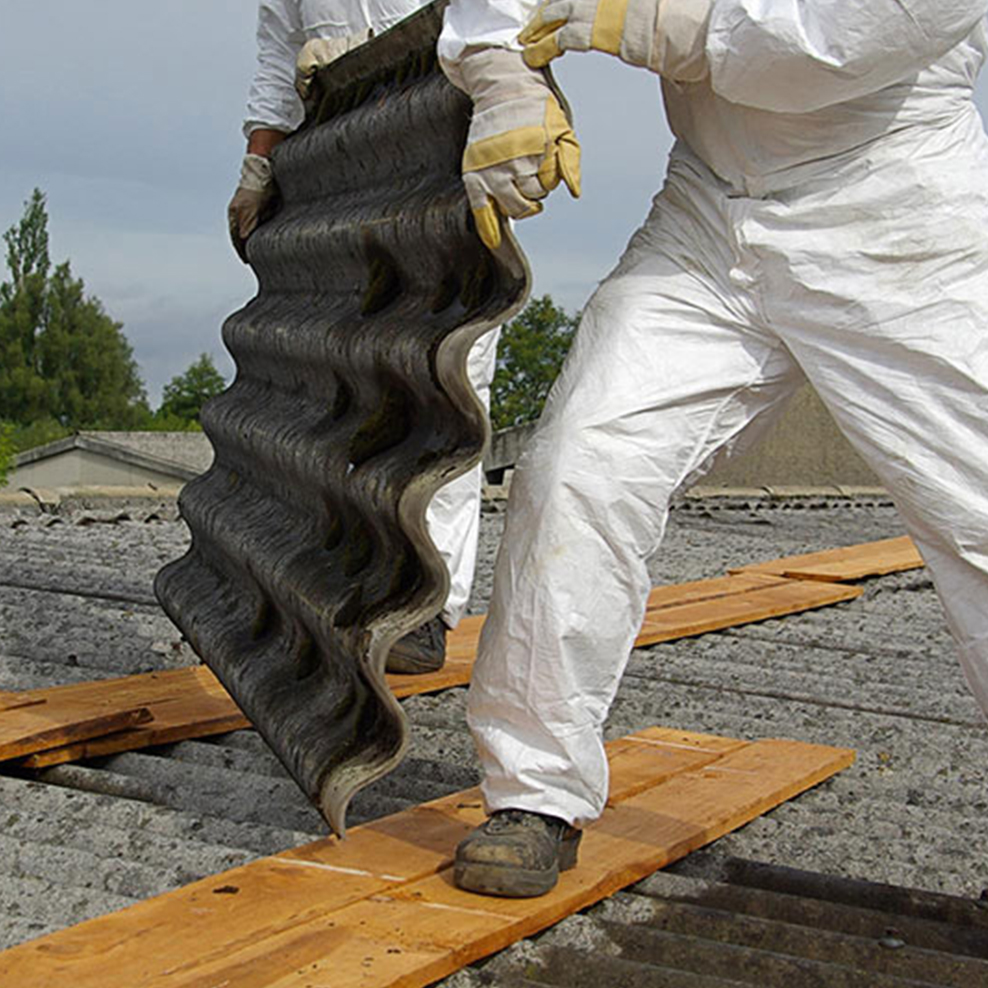 Original Website_asbestos1_About us asbestos removal specialists