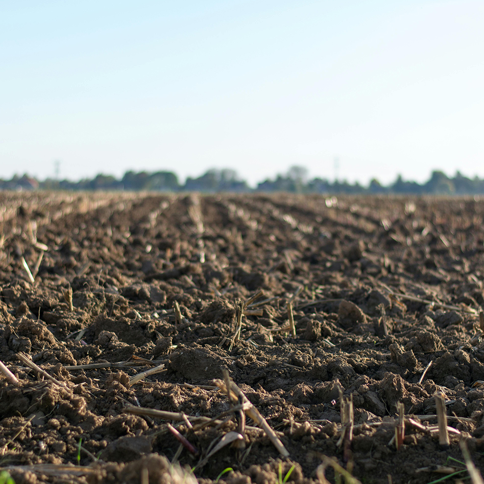 pexels-jan-kroon-357445-1000057 Soil Remediation soil remediation